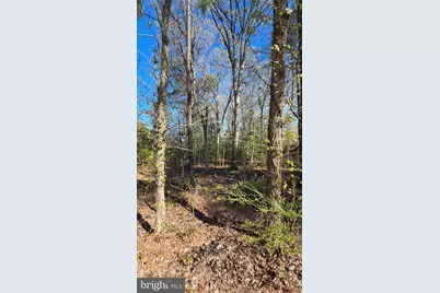 Touhey Drive, Stevensville, MD 21666 - Photo 19