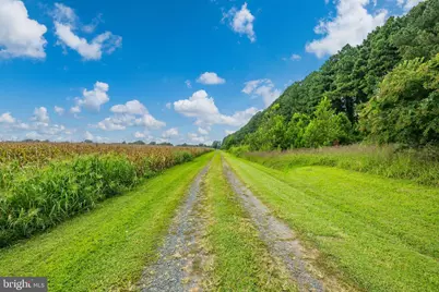 491 Wye Island Road, Queenstown, MD 21658 - Photo 59