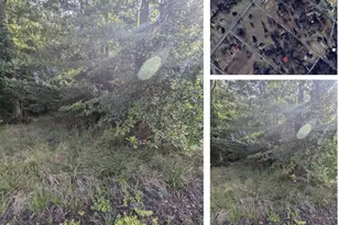 36788 Springdale Dr, Bushwood, MD 20618 - Photo 1