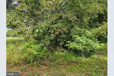 00000 Bushwood, Bushwood, MD 20618 - Photo 3