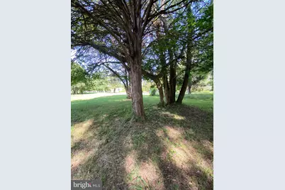 Owens Drive, Bushwood, MD 20618 - Photo 7