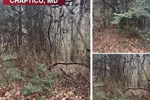 Mill Point Rd, Chaptico, MD 20621 - Photo 1