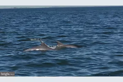 15363 Holly Drive, Scotland, MD 20687 - Photo 35