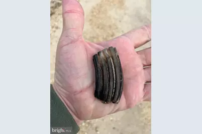 15363 Holly Drive, Scotland, MD 20687 - Photo 33