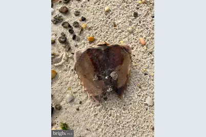 15363 Holly Drive, Scotland, MD 20687 - Photo 31