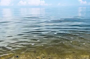 15363 Holly Dr, Scotland, MD 20687 - Photo 39