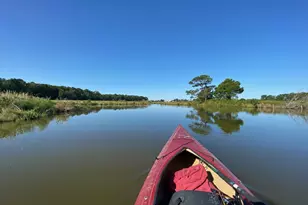 15363 Holly Dr, Scotland, MD 20687 - Photo 43