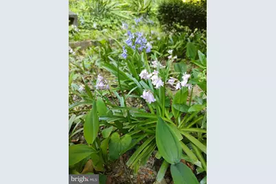 38310 Pleasant View Drive, Charlotte Hall, MD 20622 - Photo 5