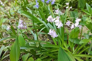 38310 Pleasant View Dr, Charlotte Hall, MD 20622 - Photo 5