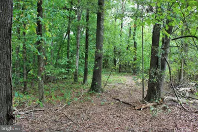 Three Notch Road, Mechanicsville, MD 20659 - Photo 5