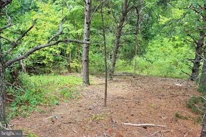 Three Notch Road, Mechanicsville, MD 20659 - Photo 1