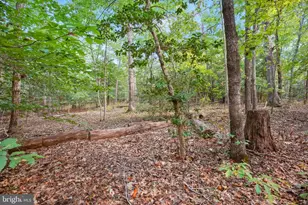 46442 Hyatt Ct, Drayden, MD 20630 - Photo 49