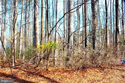 Scott Circle, Mechanicsville, MD 20659 - Photo 5
