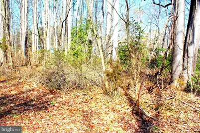 Scott Circle, Mechanicsville, MD 20659 - Photo 7