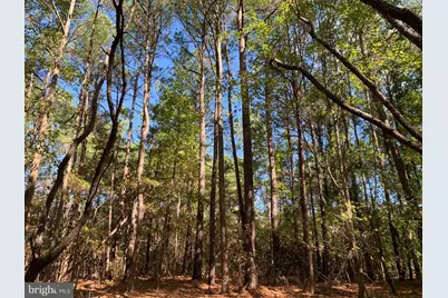 48683 Beachville Road, Saint Inigoes, MD 20684 - Photo 19