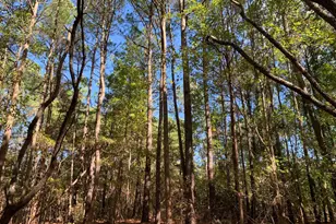 48683 Beachville Rd, Saint Inigoes, MD 20684 - Photo 19