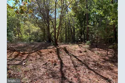 48683 Beachville Road, Saint Inigoes, MD 20684 - Photo 13