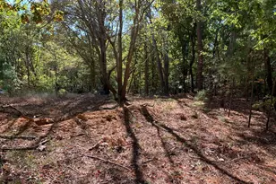 48683 Beachville Rd, Saint Inigoes, MD 20684 - Photo 13