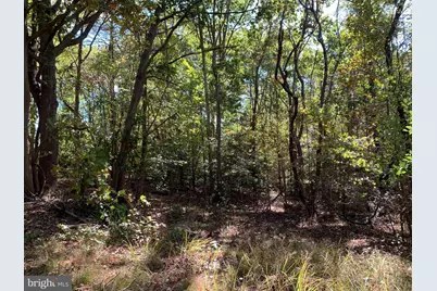 48683 Beachville Road, Saint Inigoes, MD 20684 - Photo 15