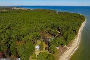 50645 Holly Point Rd, Dameron, MD 20628 - Photo 135