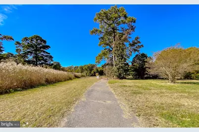 50645 Holly Point Road, Dameron, MD 20628 - Photo 67