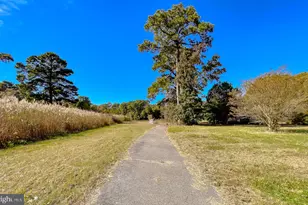 50645 Holly Point Rd, Dameron, MD 20628 - Photo 67