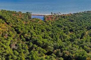 50645 Holly Point Rd, Dameron, MD 20628 - Photo 59