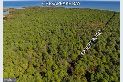 50645 Holly Point Road, Dameron, MD 20628 - Photo 37