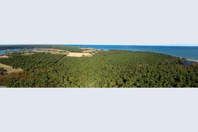 50645 Holly Point Road, Dameron, MD 20628 - Photo 41