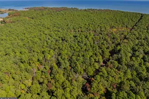 50645 Holly Point Rd, Dameron, MD 20628 - Photo 55