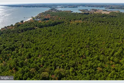 50645 Holly Point Road, Dameron, MD 20628 - Photo 133