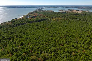 50645 Holly Point Rd, Dameron, MD 20628 - Photo 133