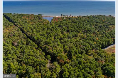 50645 Holly Point Road, Dameron, MD 20628 - Photo 57