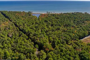 50645 Holly Point Rd, Dameron, MD 20628 - Photo 57