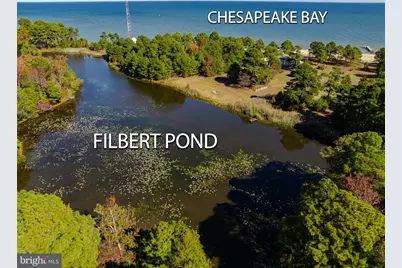 50645 Holly Point Road, Dameron, MD 20628 - Photo 23