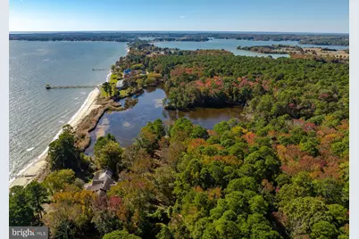 50645 Holly Point Road, Dameron, MD 20628 - Photo 145