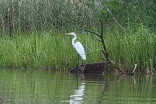 49993 Airedele Rd, Ridge, MD 20680 - Photo 15