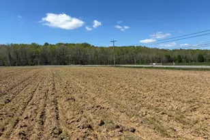 Mechanicsville Rd, Chaptico, MD 20621 - Photo 1