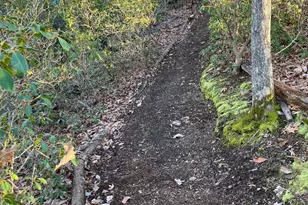 27245 Cat Creek Rd, Mechanicsville, MD 20659 - Photo 67