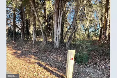 Bay Dr, Chaptico, MD 20621 - Photo 5