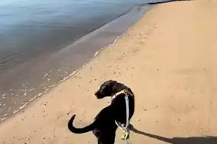 21620 Defender St, Lexington Park, MD 20653 - Photo 7