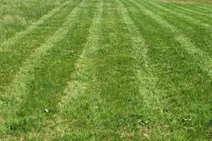 40626 Rudys Ln, Loveville, MD 20656 - Photo 3