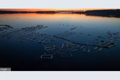 49676 Freemans Road, Dameron, MD 20628 - Photo 39