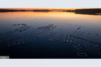 49676 Freemans Road, Dameron, MD 20628 - Photo 3