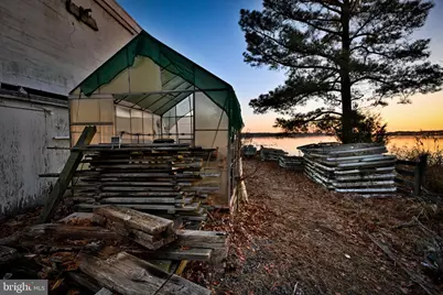 49676 Freemans Road, Dameron, MD 20628 - Photo 11