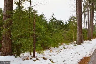 Jutland Road, Saint Inigoes, MD 20684 - Photo 3