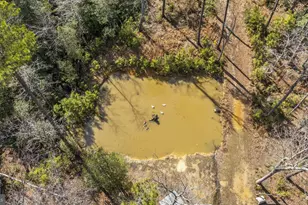 46118 Edgemore Way, Great Mills, MD 20634 - Photo 79