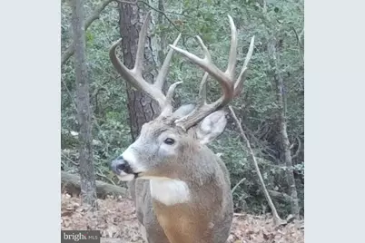 46118 Edgemore Way, Great Mills, MD 20634 - Photo 9