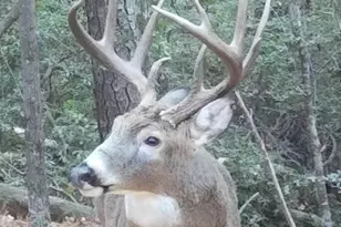 46118 Edgemore Way, Great Mills, MD 20634 - Photo 9