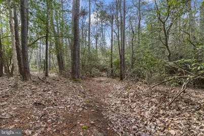 46118 Edgemore Way, Great Mills, MD 20634 - Photo 65